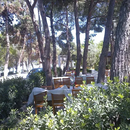 汽车旅馆 Camlik Restaurant *